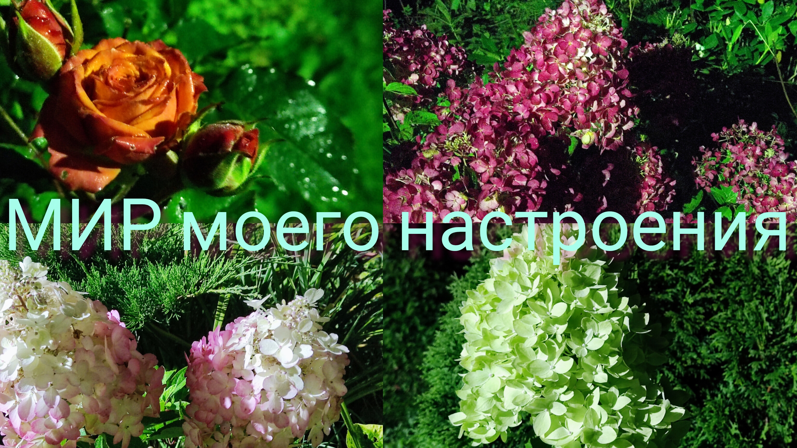 05.09.25 Дача.Пятница вечер прогулка под фонарями смотреть онлайн