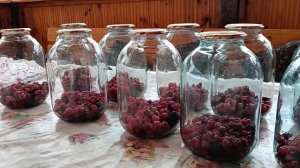 КОМПОТ ИЗ МАЛИНЫ И ЕЖЕВИКИ Зимой — запах лета