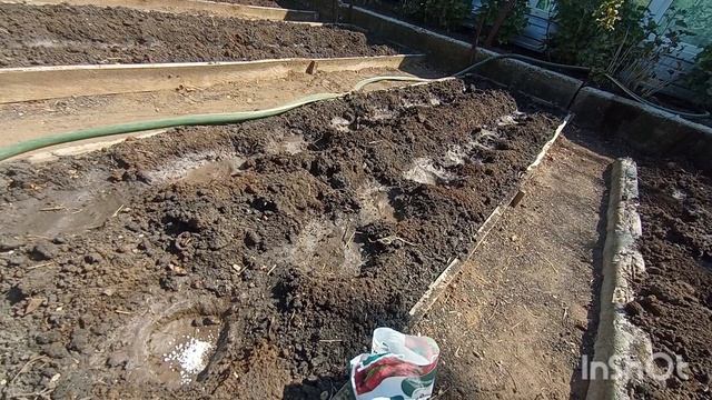 /клубника из кассет/высадила клубнику/полив и удобрение/ смотреть онлайн