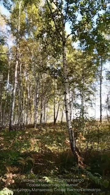@KvatromusickRu
Ещё немного лета.