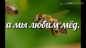 Текст песни - Пчеловод 🐝