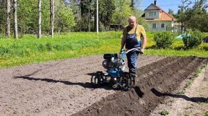 Картошку сажаем мотоблоком нева мб-2.Сезон 2025.