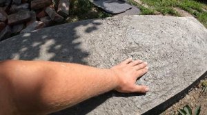 Бетонные тропинки своими руками. САДОВЫЕ ДОРОЖКИ В ОГ?