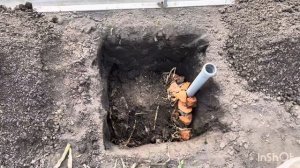 Техника посадки винограда в Теплицу