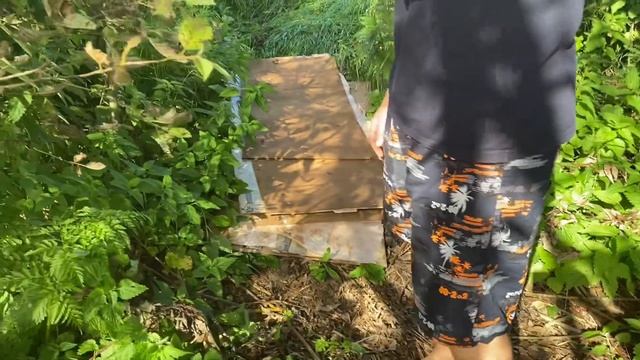 Стройка шалаша в Мексике часть 2