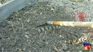 ПОСЛЕ УБОРКИ ЧЕСНОКА И ЛУКА СРАЗУ СДЕЛАЙ ЭТО С ГРЯДКОЙ