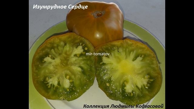 Лучшие сорта томатов 2022 года! (Часть 5) смотреть онлайн