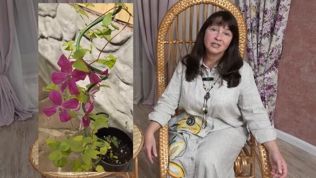 КАК ОБМАНЫВАЮТ НАЧИНАЮЩИХ САДОВОДОВ. И как не нарвать? смотреть онлайн