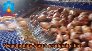 Как делают крахмал в производстве? Технология произво