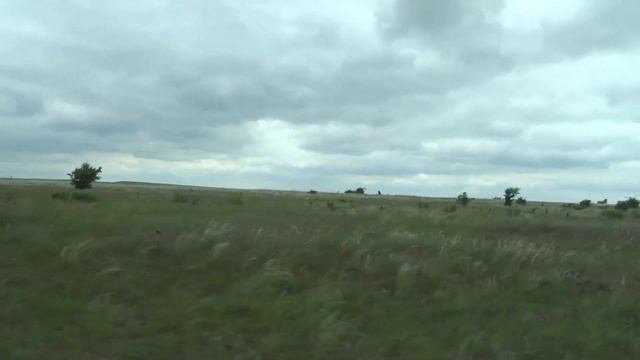 Ковыль цветёт в степях за Доном смотреть онлайн