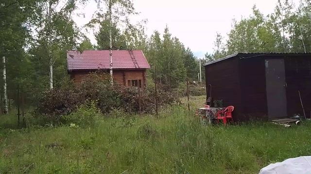 🛤НА ДАЧЕ. СМЕНА ДИЗАЙНА 😊. ВЫРОСЛИ ГРИБЫ НА УЧАСТКЕ ? смотреть онлайн