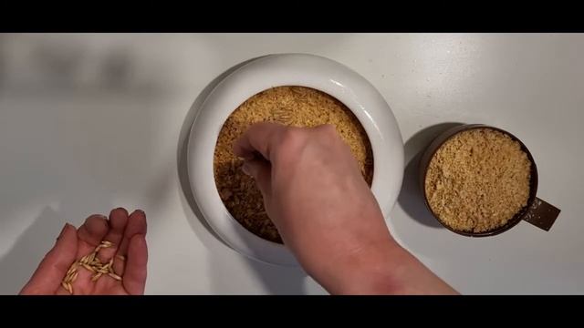 Выращивание травы для кошки в древесных гранулах смотреть онлайн