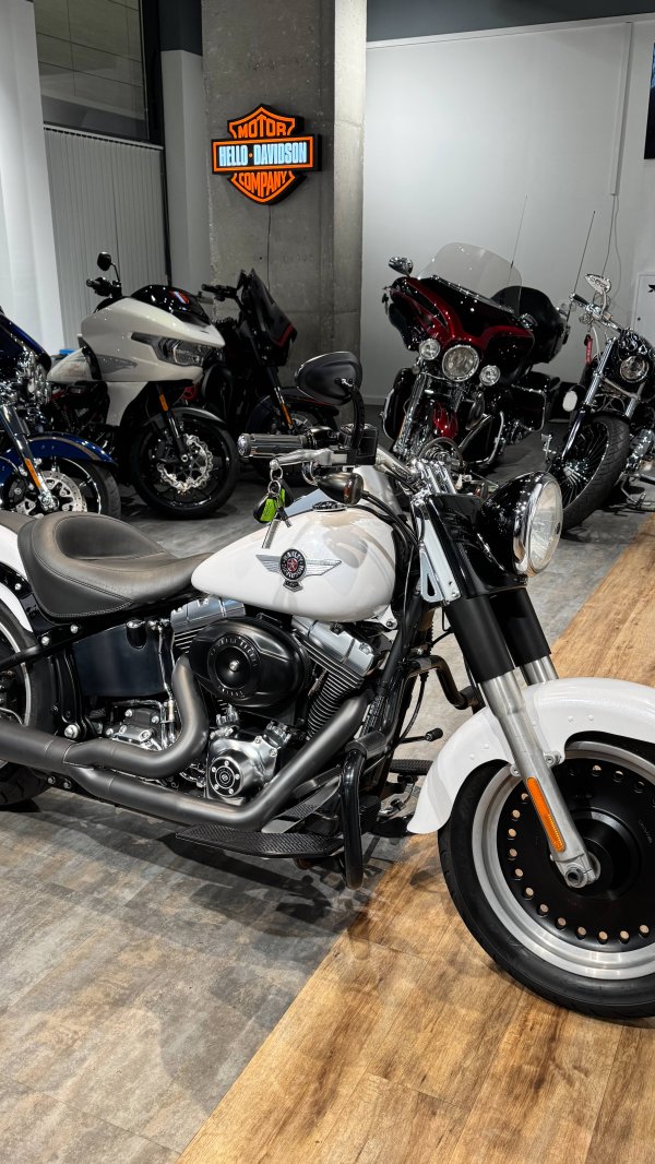 2011 HD Fat Boy White Denim ABS