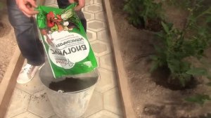 ТТ4 Вермикомпост (Биогумус) вносим в теплице и в огород