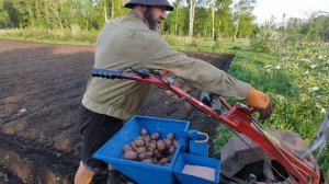 Тестирование картофелесажалки для мотоблока Агро!