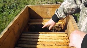 противороевой прием в лежаке