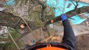 Как спилить дерево. Какое выбрать спусковое устройств