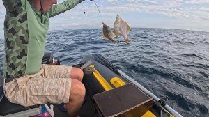 Ловим с Евгеном камбалу на сайру! Выход с о.Русский Мыс Тобизина