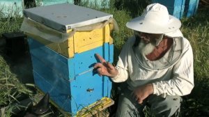 РОЕНИЕ. НАЛЕТ НА МАТКУ.