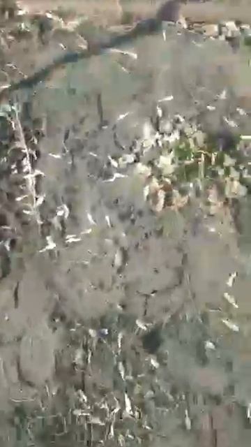 Адрес 82 122 номер 837 634 17 32 канал дачник смотреть онлайн