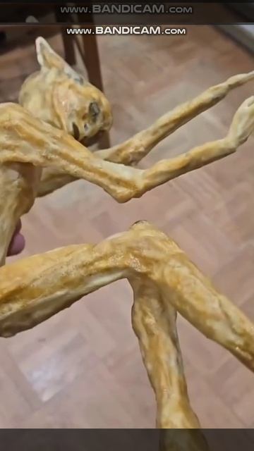 Гуманоид случайно найден на заднем дворе. ДНК не установлено смотреть онлайн