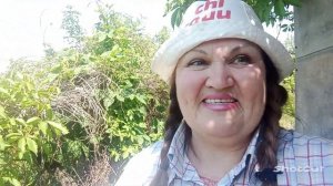 Пересадка двухлетнего абрикоса