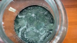 Наращивание метаризиума из набора "Закваска Метаризи?