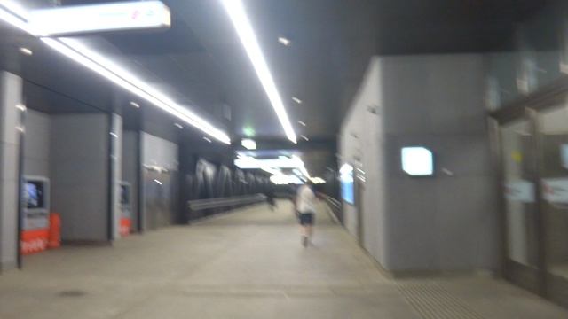 Лифты на станции метро Потапово Сокольнической линии