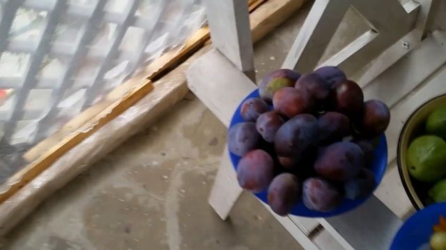 2 сентября в моем саду. Ландшафтный дизайн своими рука? смотреть онлайн