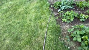 Сочащийся шланг!