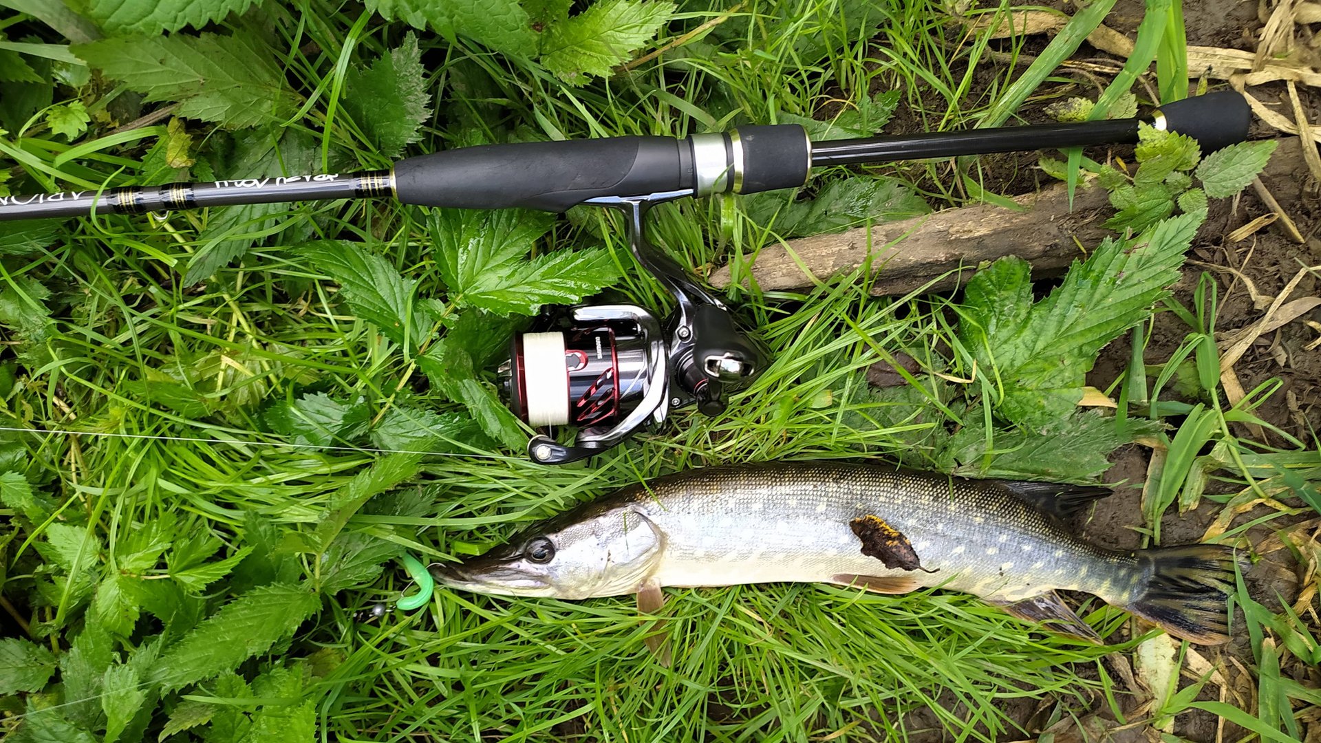 Верховья микро-речки, разведка 4 сентября 2025 года