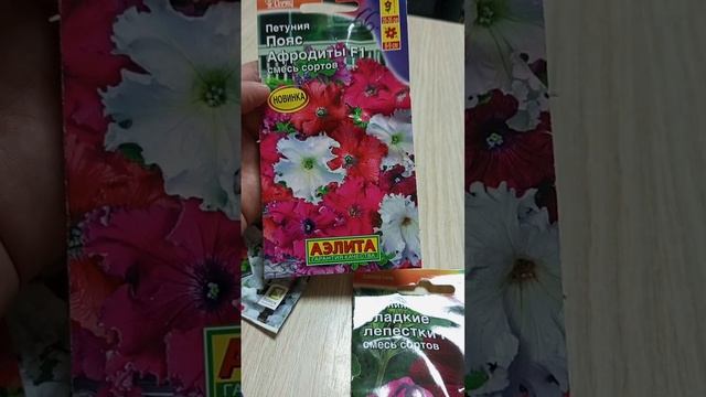 Семена питуньи, как посеить питунью, новые сорта питун