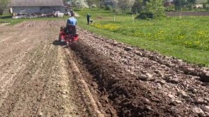 Посадка картошки под плуг минитрактором МТЗ 132. Как са?