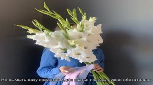 Как сохранить букет гладиолусов дольше: добавки в вод?