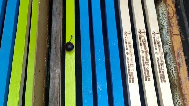 метод А. А. Чайкина смотреть онлайн