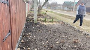 Как избавится от плесени и грибка в теплице. Простые и