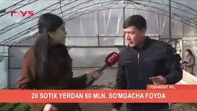 7 сотихли иссиқхонада “айсберг карами” яъни салат ба? смотреть онлайн