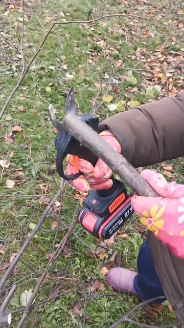 Аккумуляторный секатор Newtools и аккумуляторная цепная ? смотреть онлайн