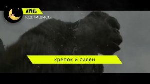 Песня Клип про КИНГ-КОНГА - ЛУНЬ (prod. Лунь)|КИНГ КОНГ ГОД
