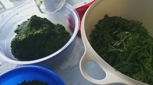 Заготовка джусая
