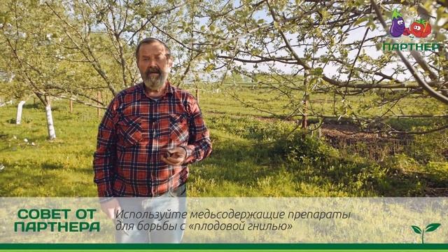 ЗАБОЛЕЛА ЯБЛОНЯ – КАК ЛЕЧИТЬ? смотреть онлайн