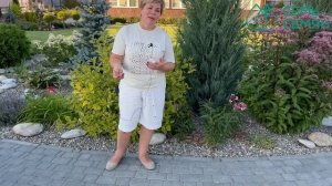 Уход за лилиями после цветения!