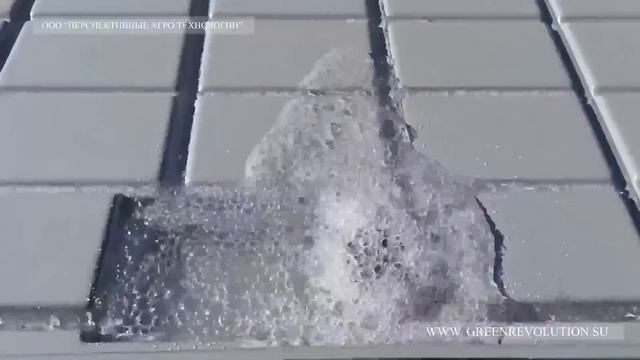 рассадный стол смотреть онлайн