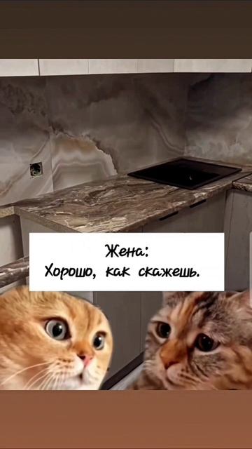 Кухня по блату 🤣