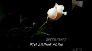 Эти белые розы