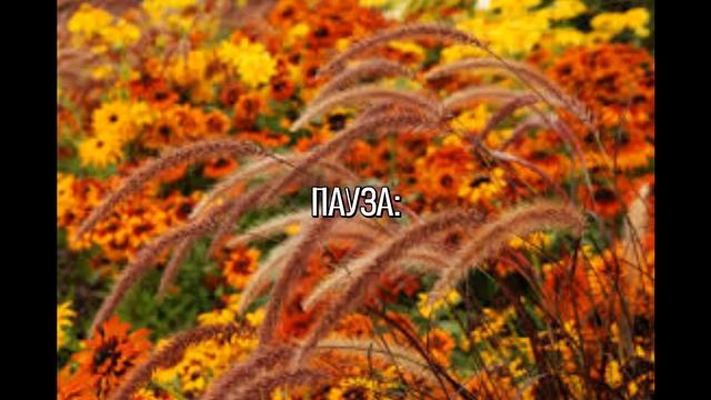 Життя, як той цвіт, що землю красить смотреть онлайн