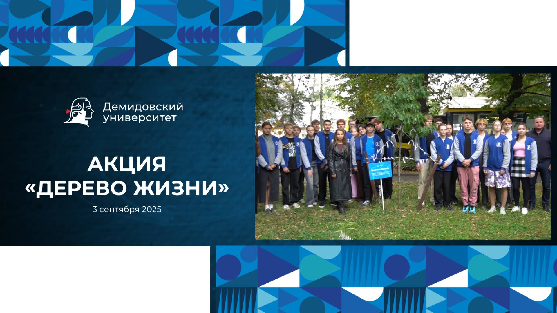 Акция «Дерево Жизни» в ЯрГУ смотреть онлайн