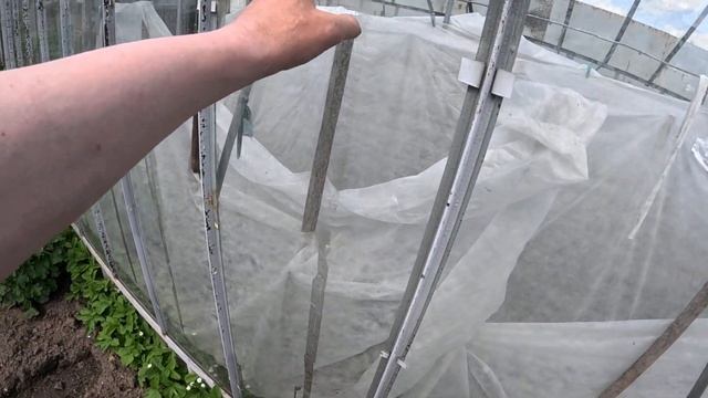 Теплица из стекла и железа смотреть онлайн