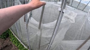 Теплица из стекла и железа