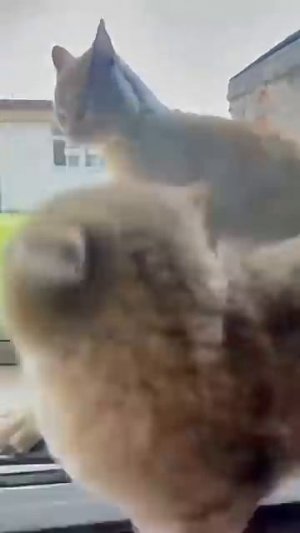 Улыбнитесь